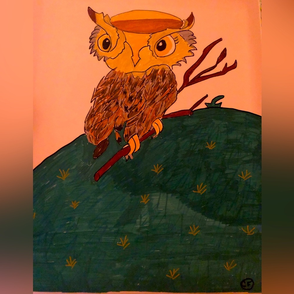 Colorful Owl Art Print